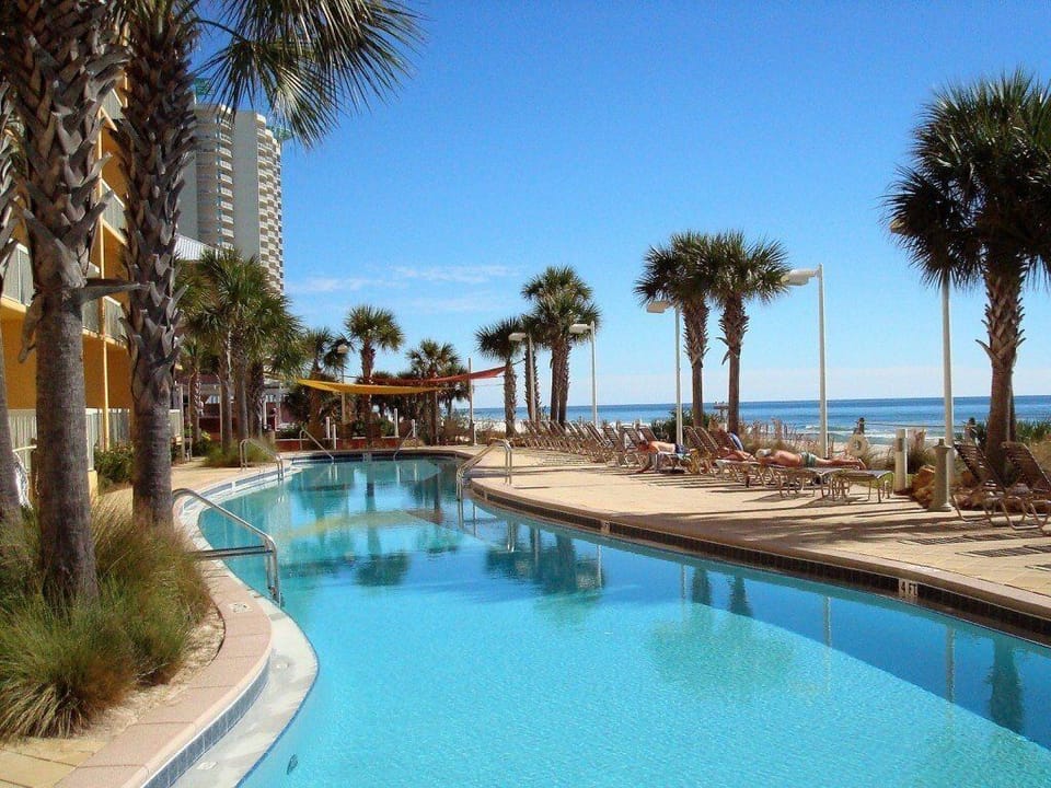 Oceanfront pool area with swaying palms and comfortable loungers for ultimate beachside relaxation.