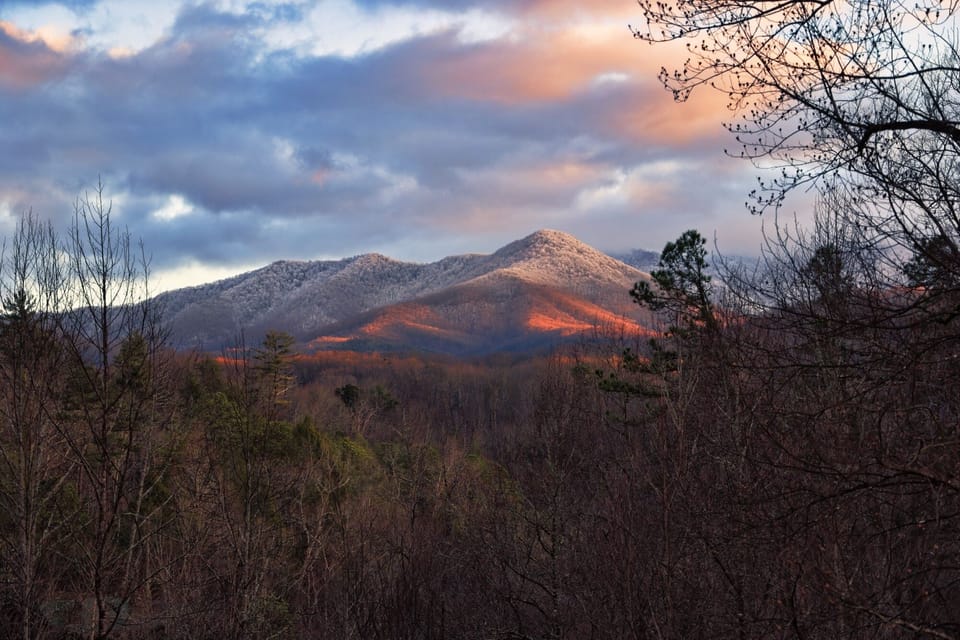 View of Mt. LeConte from the back deck.