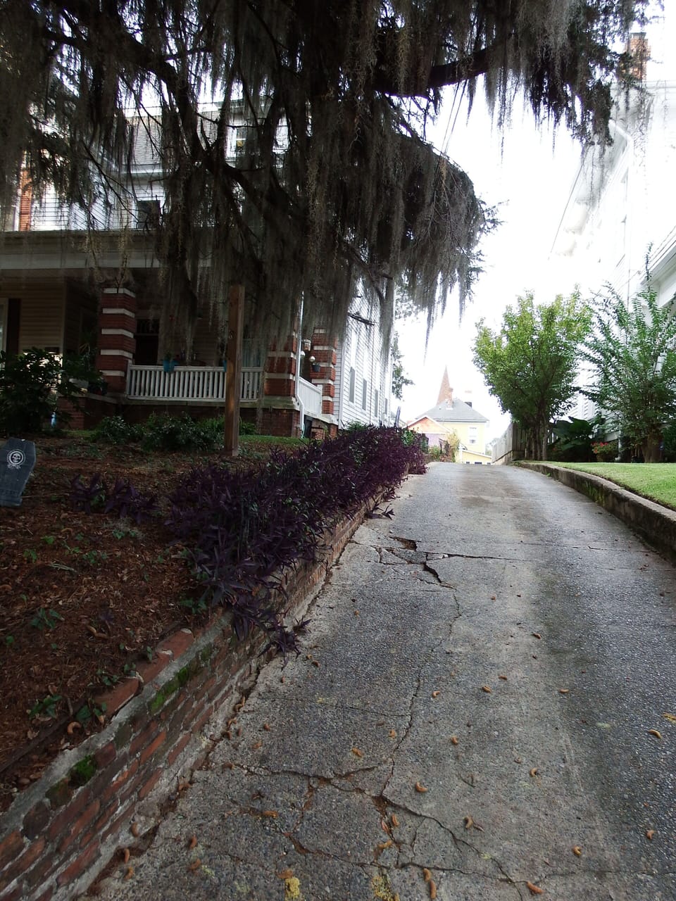 Driveway on right leading to rear/parking. Ok for regular vehicles, not trailers