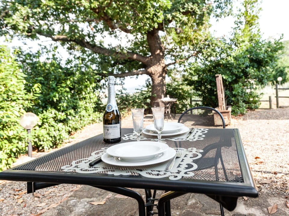 Table, Tableware, Plant, Furniture, Outdoor Table, Botany, Outdoor Furniture, Tablecloth, Building, Tree