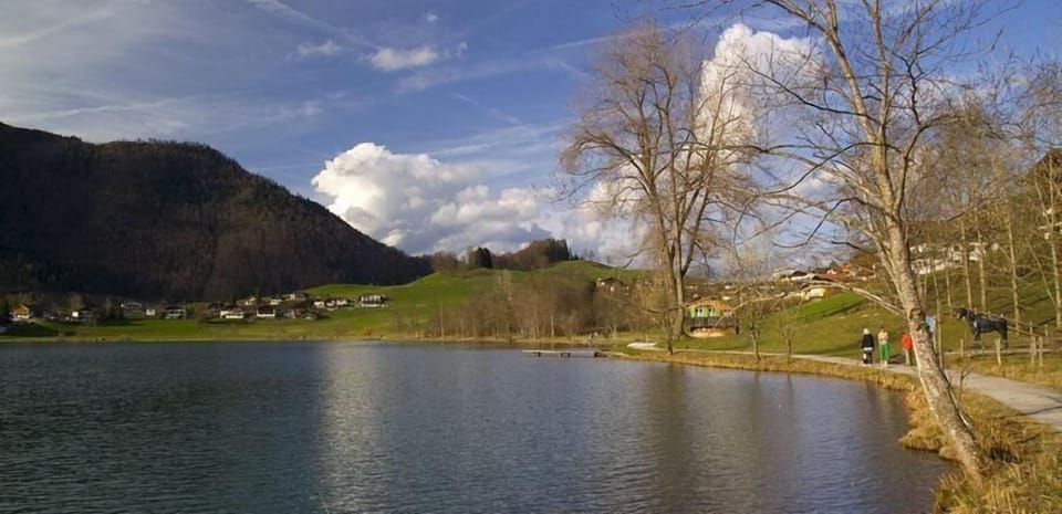 Town/city in general