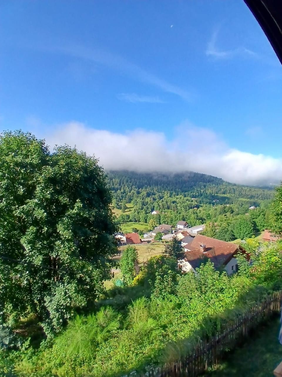 View from property