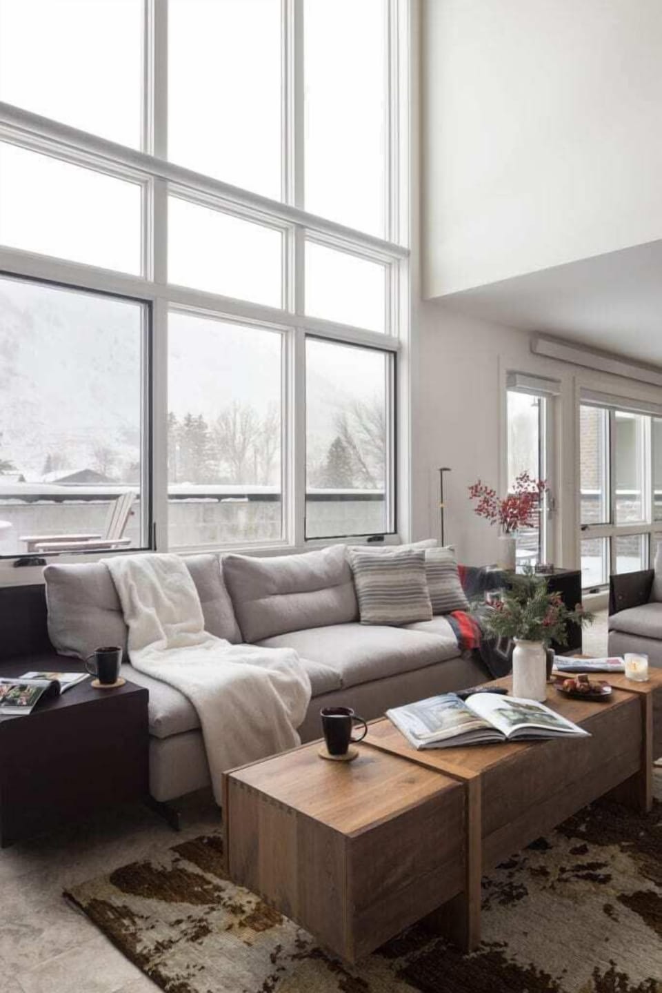 Living room full of natural light