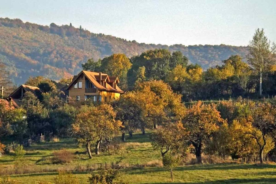 Casa Zollo • private Carpathian cottage for your Transylvania holidays near Sibiu Romania