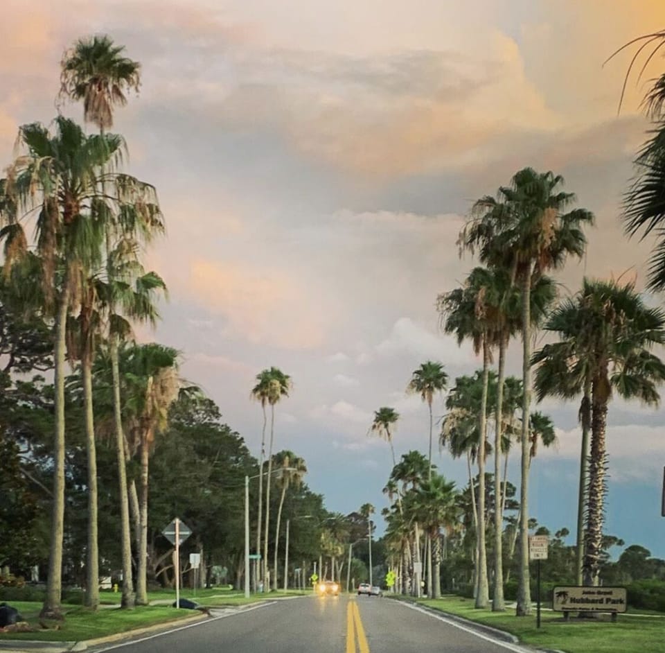 Welcome to paradise....
