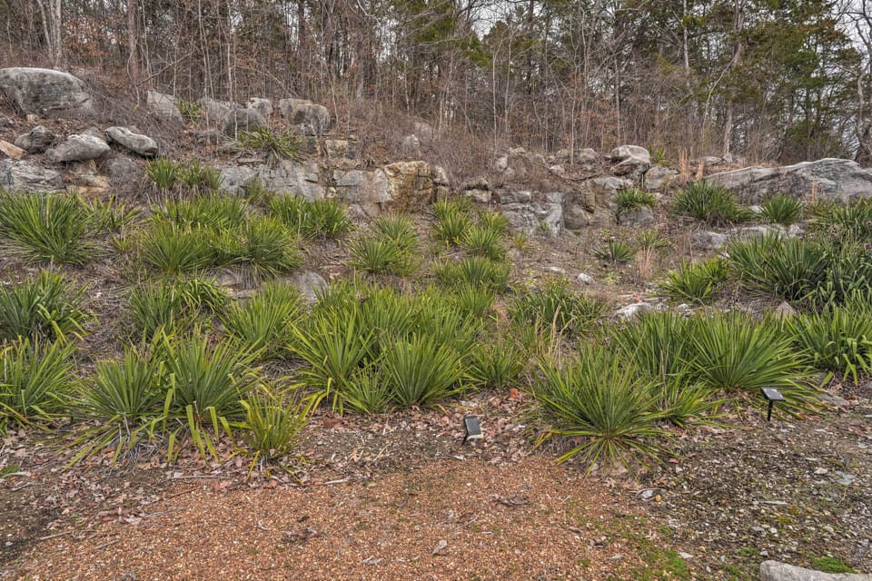 Backyard | Mountain Views | Additional Accommodation Available