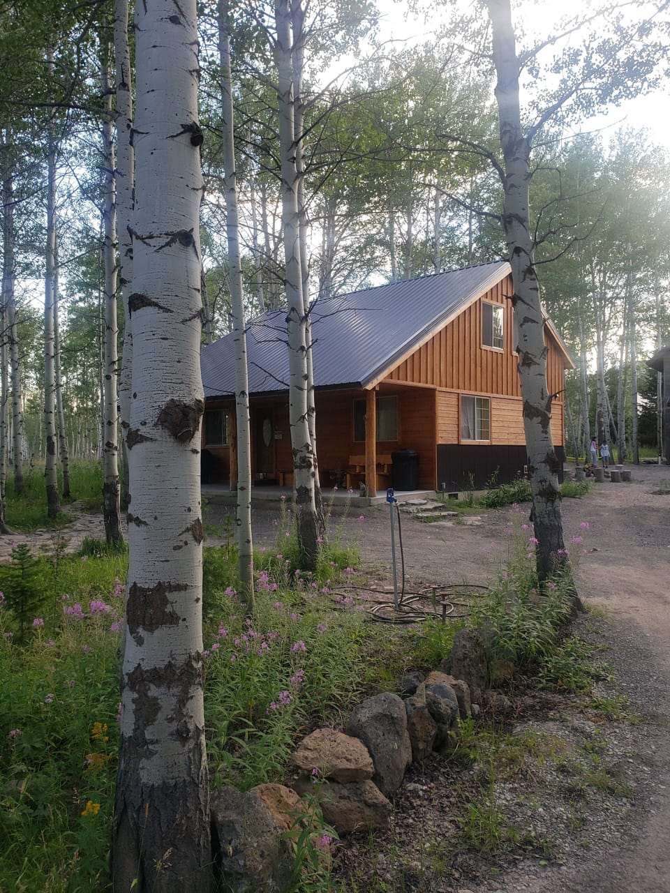 Welcome to Aspen haven