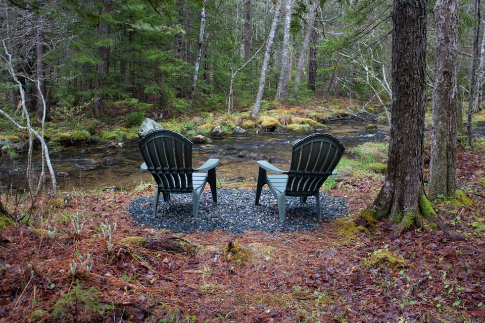 Peaceful area along Ripples Stream; accessible via walking paths on property.