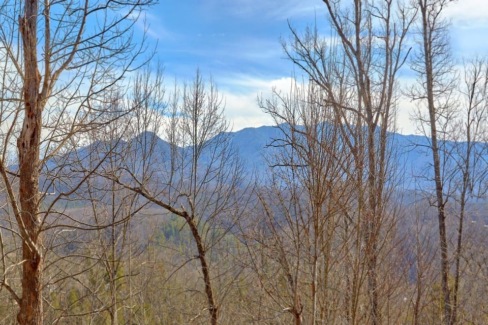 Winter views with more trees in the summer months 