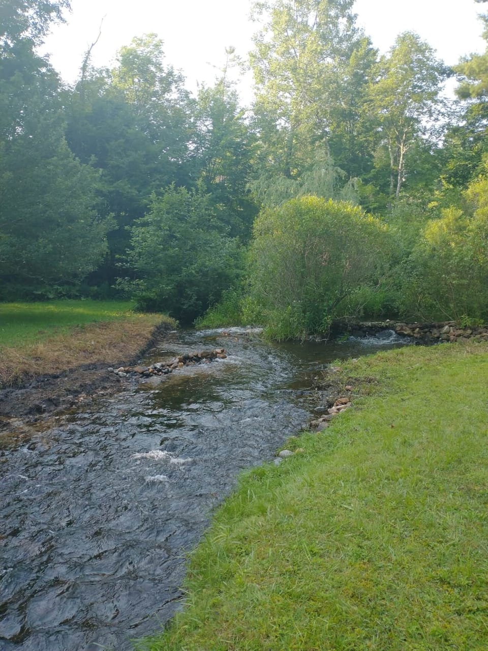 Beautiful brook runs through the yard!