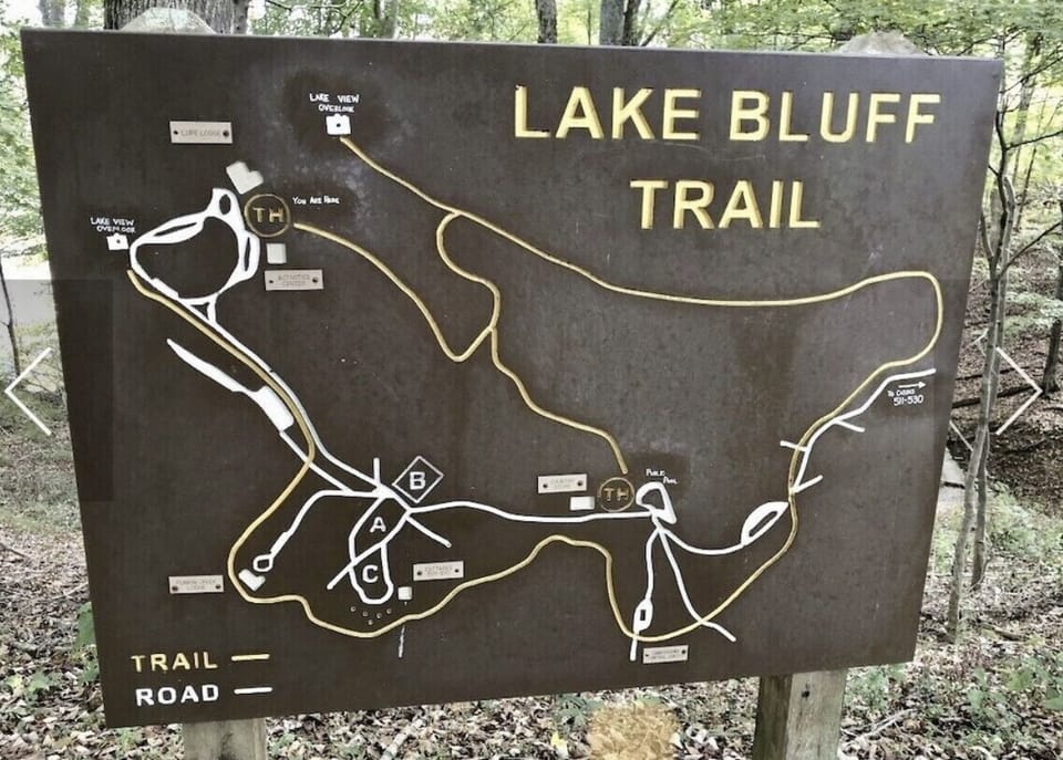 Local 4 mile loop-trail with streams and views of the lake. 