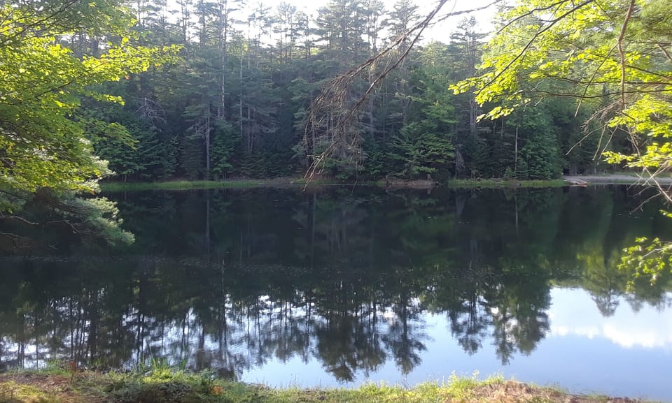You can fish right in front of the Cabin.