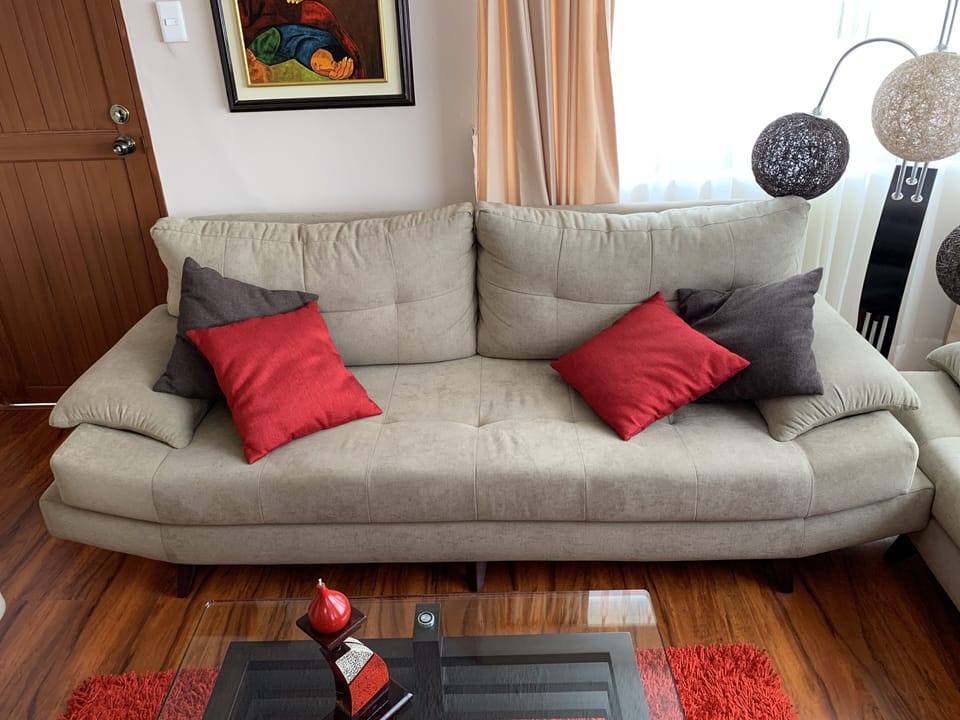 Living room with sleepable couch.