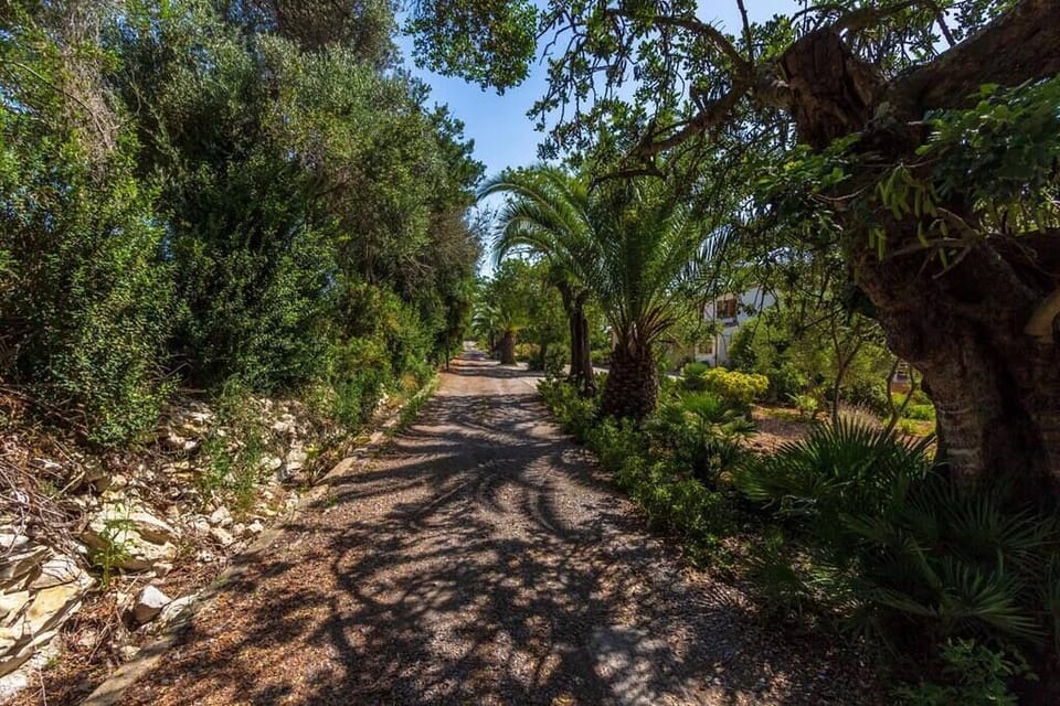 Villa Hostalet Pollensa (28)