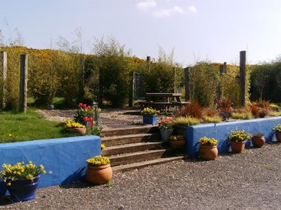 The back garden dining area