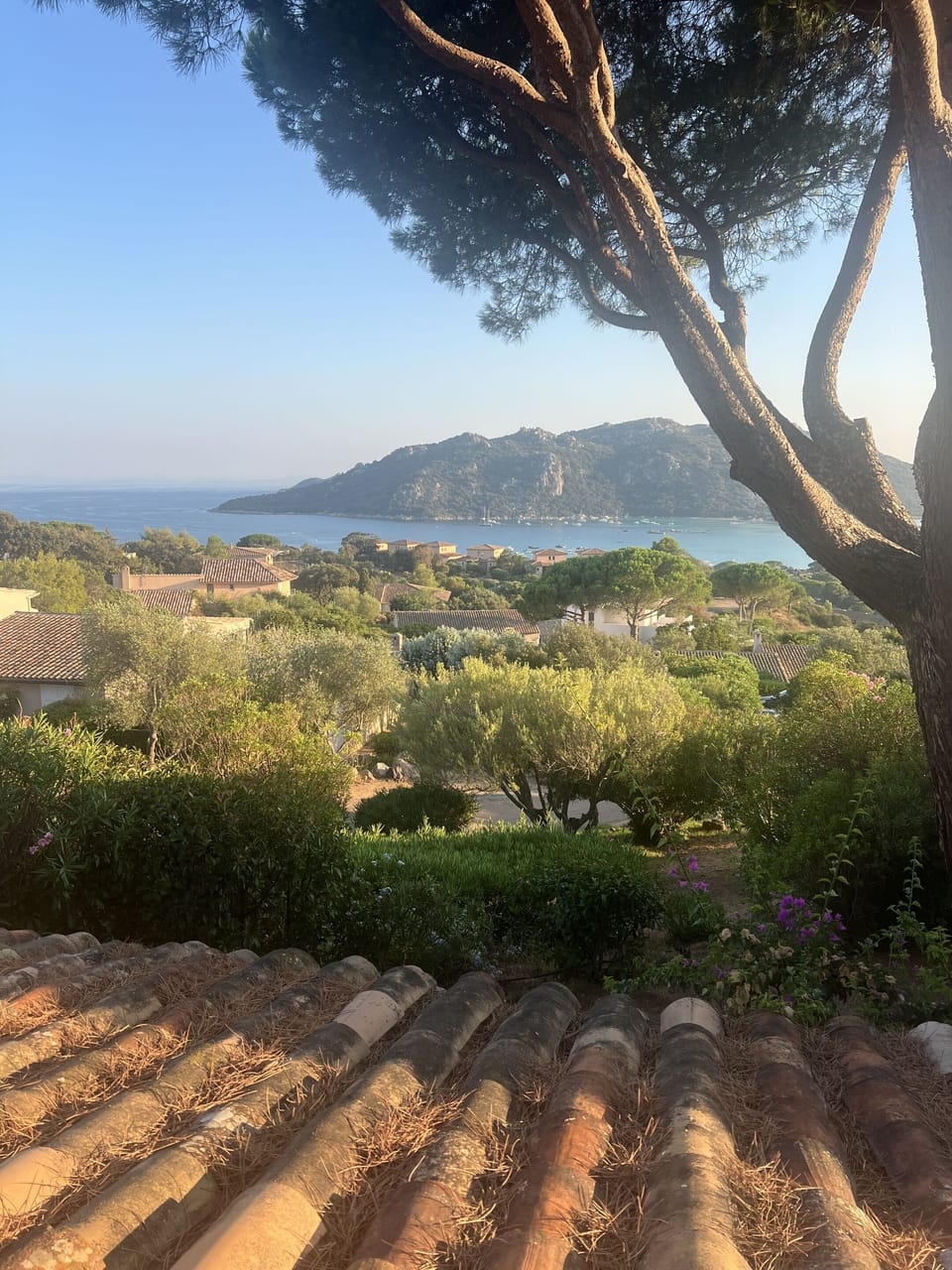 View from property