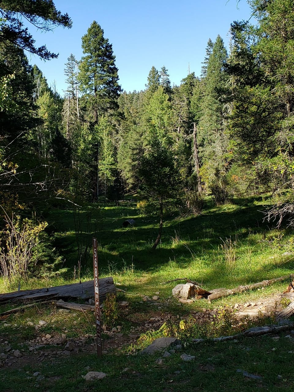 Scene from nearby hiking trail in Lincoln National Forest.