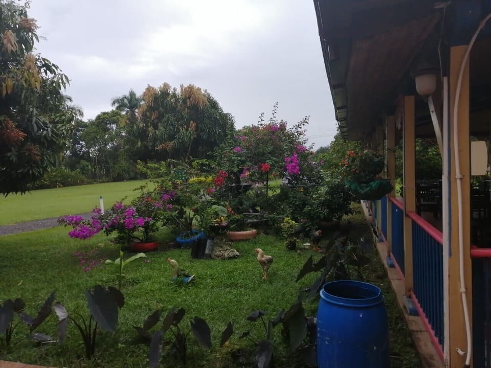 Property grounds