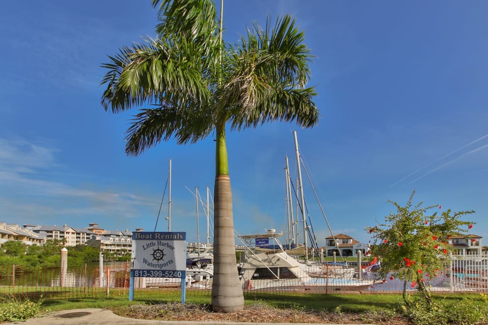 Daily boat rentals onsite