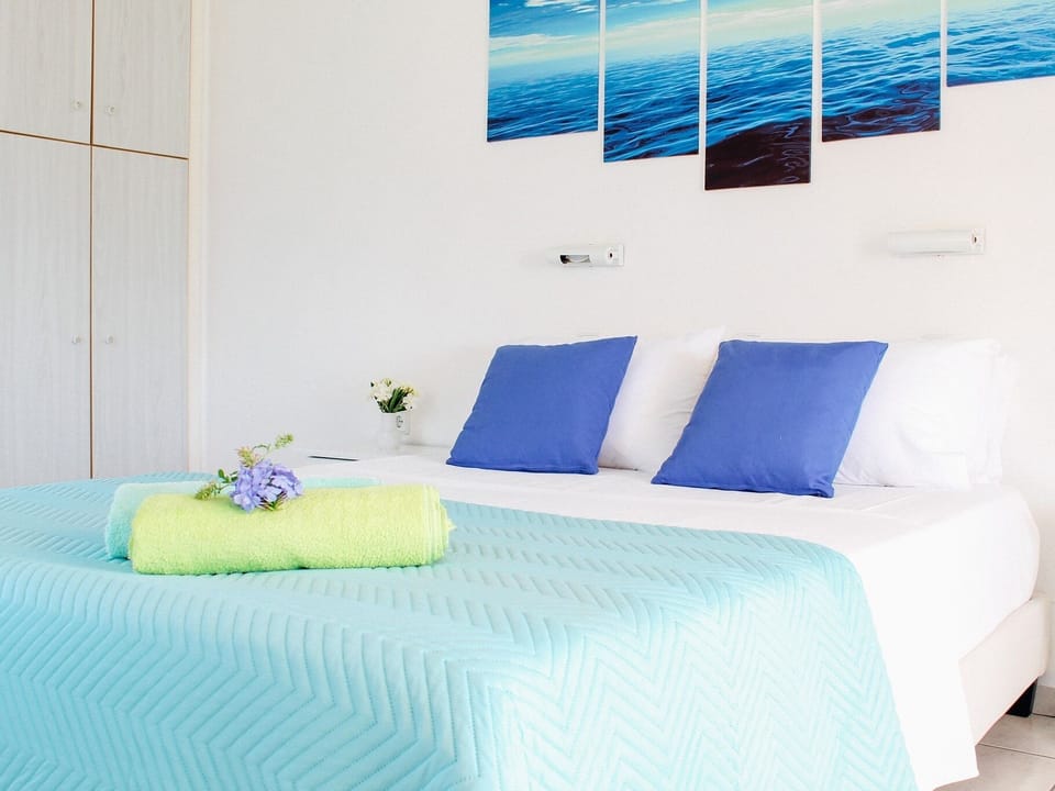 Studio with Aloe vera beds and pillows.