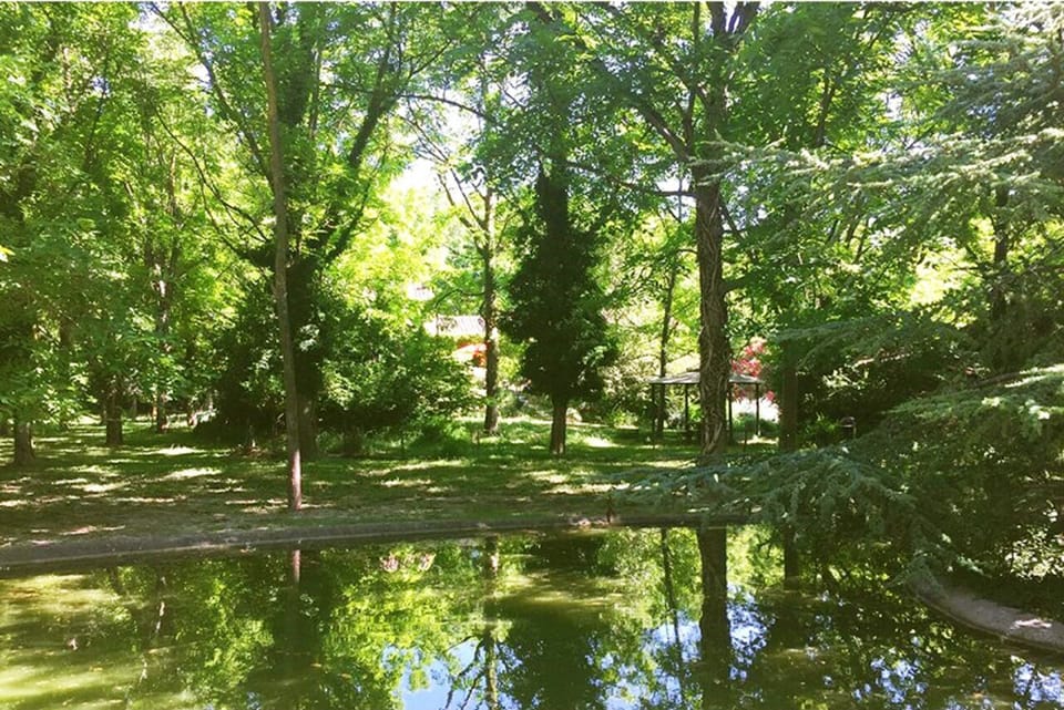 View from the garden