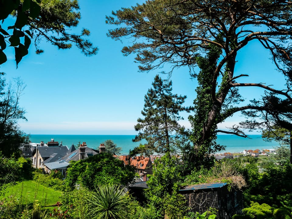 Miscellaneous