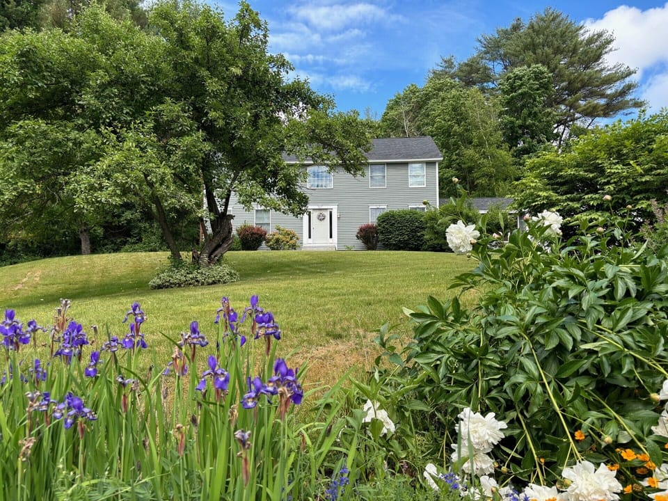 Beautiful Flowers blooming