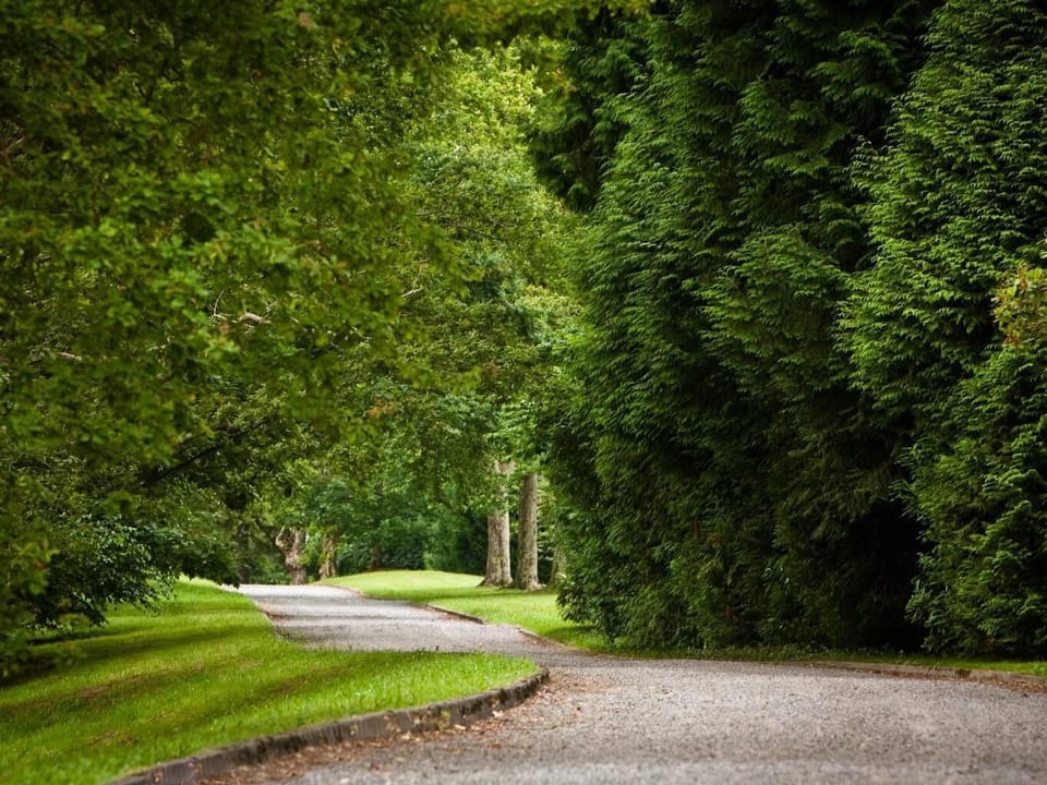 The driveway through the Clos Mirabel Estate