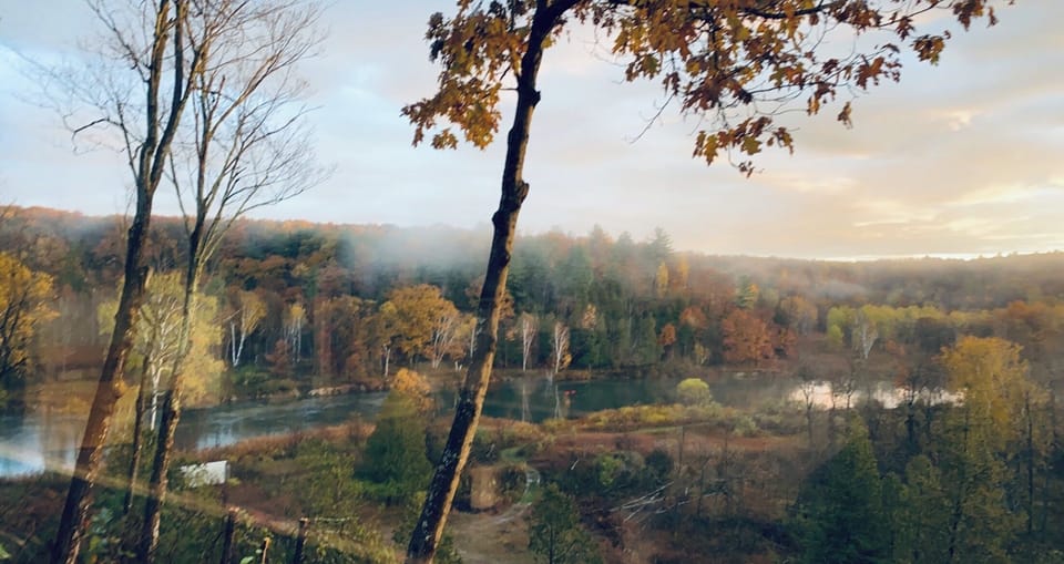 Fall 2020 view from kitchen. Can't beat this view!