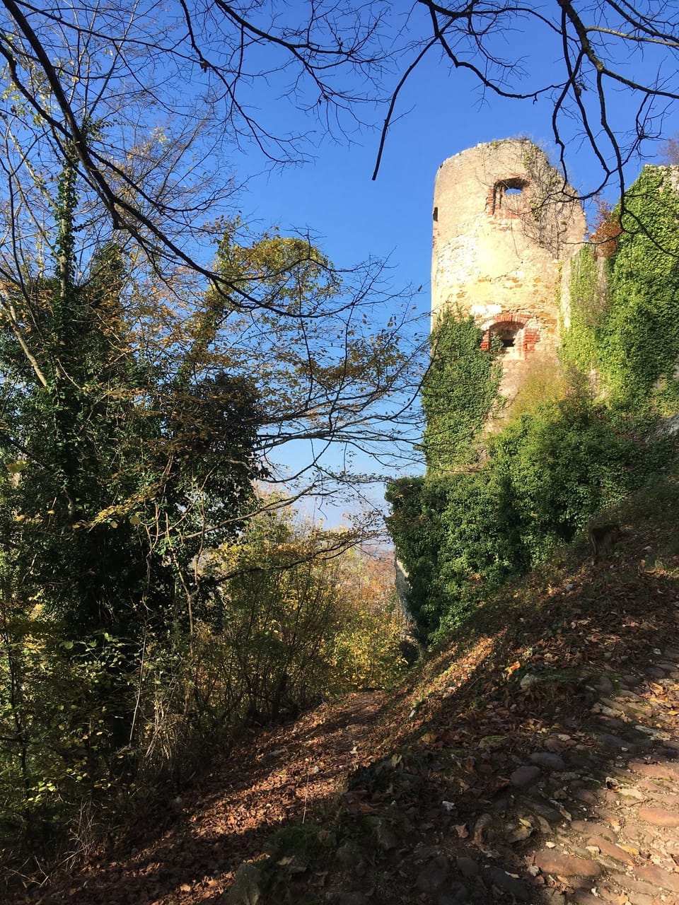Miscellaneous