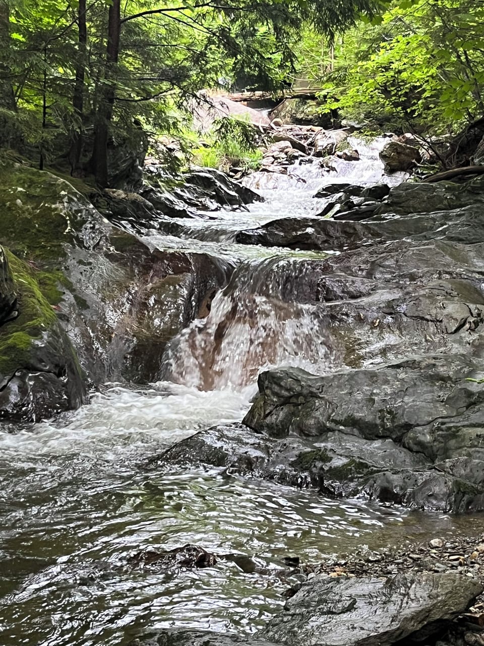 Clay Brook - Runs next to unit 