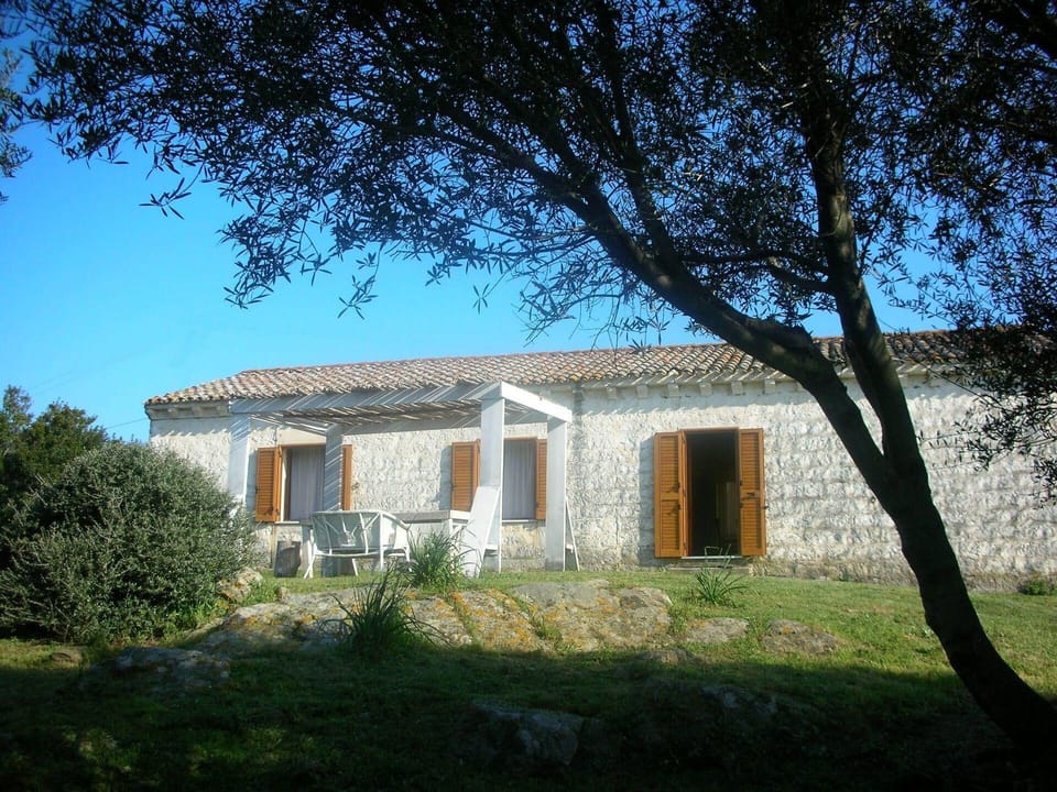 External view of the building. pergola