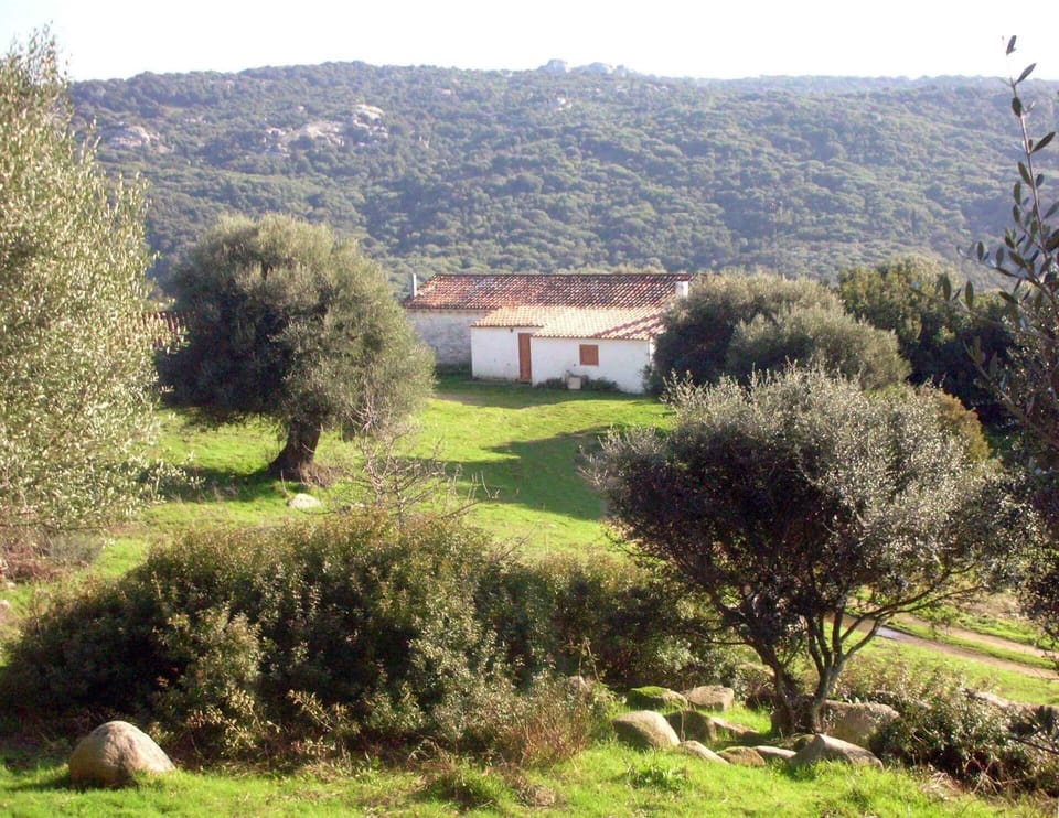External view of the building