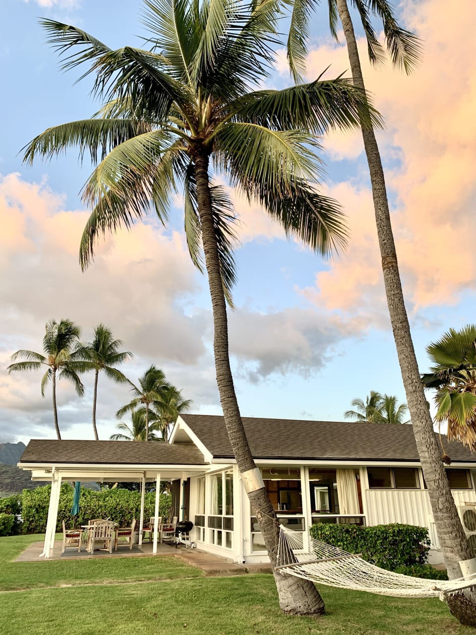relax in the hammock as you watch the palm tree sway