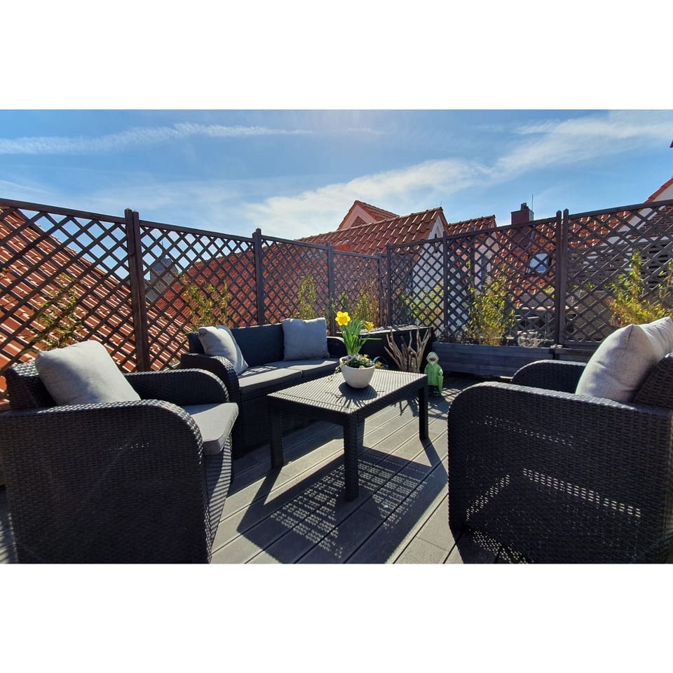 Ap. 07. Roof terrace