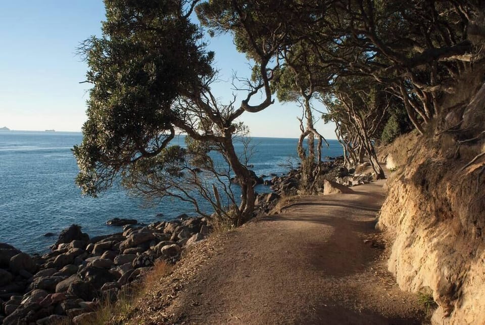 Walking track around Mauao 