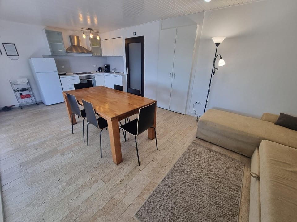 living/dining room with kitchen
