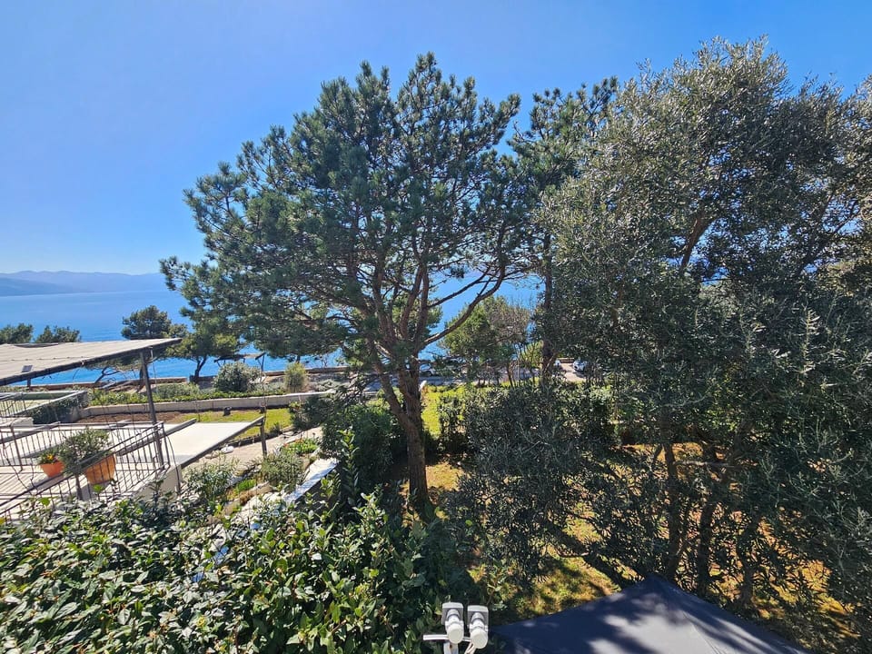 view from the 1st floor