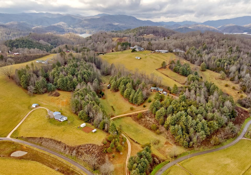Areal view of White tail trail & neighboring houses.