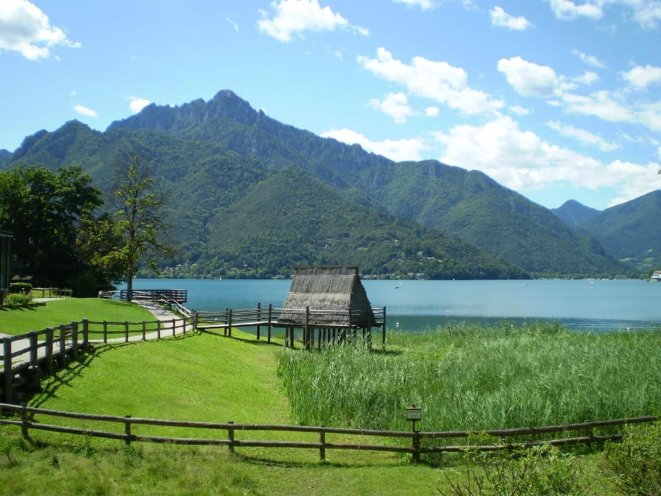 Town/city in general