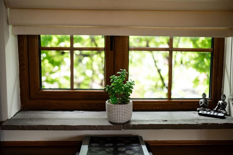 A serene windowsill adorned with a small potted plant in a white textured pot, bringing a touch of nature indoors. Flanked by two miniature Buddha statues, the scene exudes a sense of peace and tranquility. The wooden-framed window offers a beautiful view of lush green foliage outside, while soft natural light filters through, enhancing the calming ambiance of the space. A perfect spot for cont...