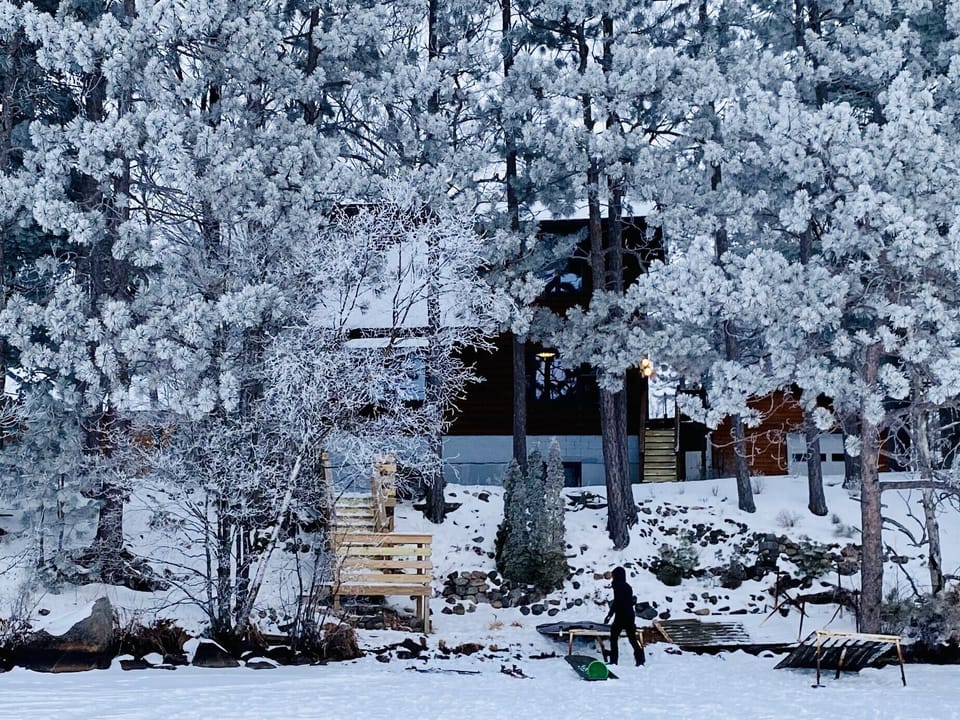 Winter view from the lake! 
