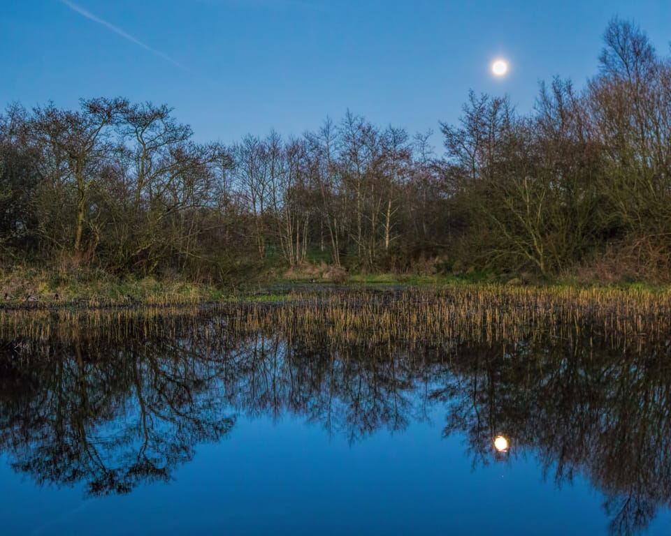 Wolf moon over mill pond