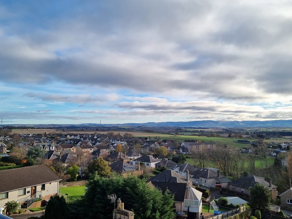 View from Wild Orchid