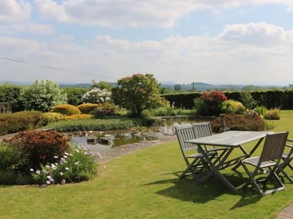 View Of The Garden And Garden Seating