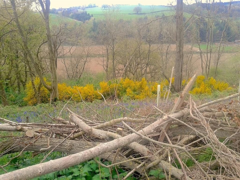 View Along The Mortimer Trail Walk