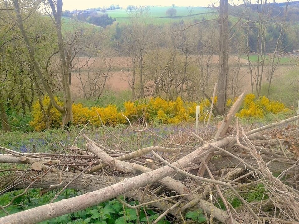 View Along The Mortimer Trail Walk