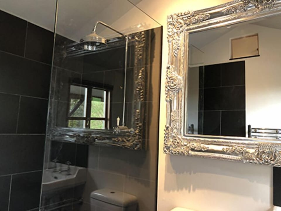 The Dog House Wetroom Shower