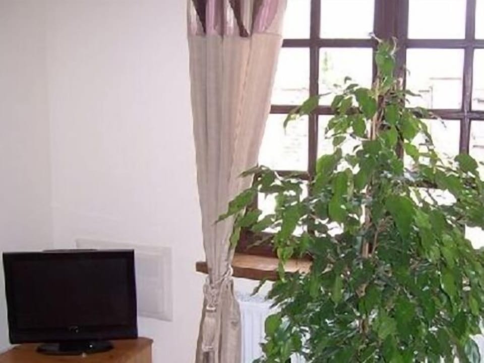 Living Room / Lounge