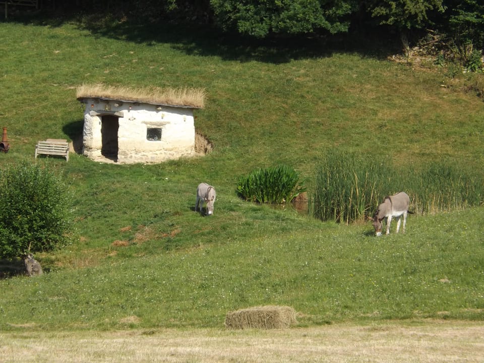 The cob hut.